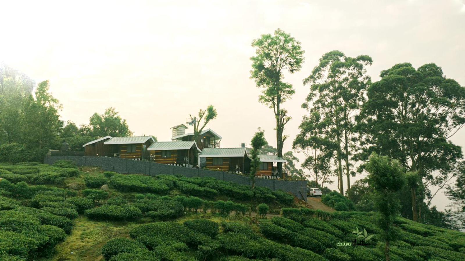 Chayathottam Holidays Apartment Munnar Bagian luar foto
